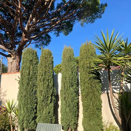 Campagne Vanrell Maisonnette 公寓 *